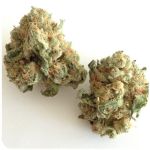 Шишки "White Widow" (Белая вдова) Гидропоника - Бошка VHQ в Ишимбае Шишки "White Widow" (Белая вдова) Гидропоника - Бошка VHQ в Ишимбае