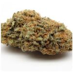 Шишки AK47 (Гидропоника, Бошка) VHQ в Ишимбае Шишки AK47 (Гидропоника, Бошка) VHQ в Ишимбае